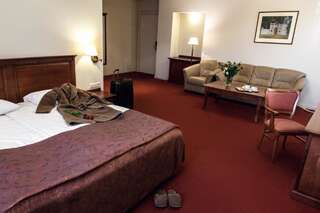 Отель Daugirdas Old City Hotel Каунас Двухместный номер Делюкс с 1 кроватью или 2 отдельными кроватями-5